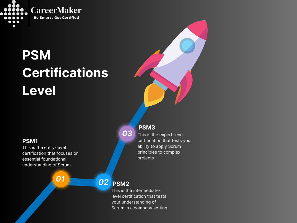 Grey Simple Modern Creative Rocket Infographic Chart Graph