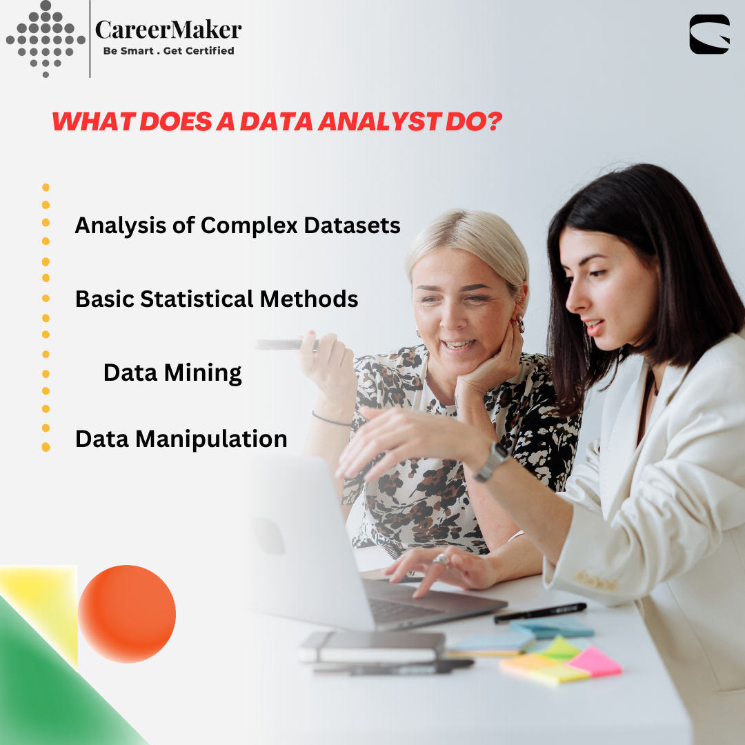 WHAT DOES A DATA ANALYST DO?